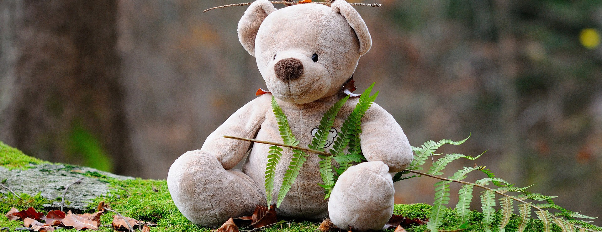 Cheap Toy Store 3 Cheap Toy Store -Cheap Toy Store teddy bear 524251 1920